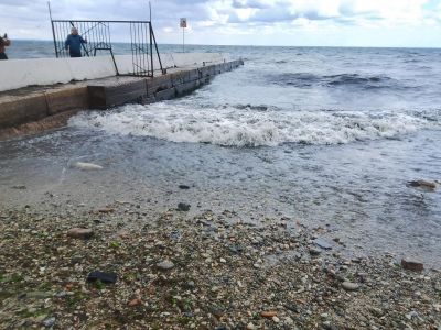 � ���� � �������� �� �������� �������� ������ ����