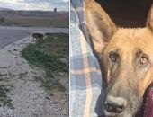 �������� ������� �������� � ��������: ��������� � ������ � ������