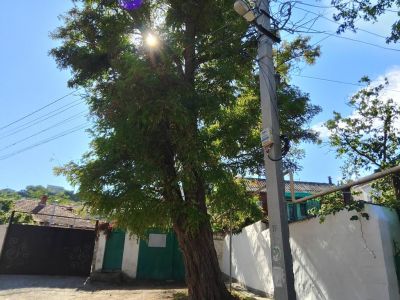 � �������� ����� �� �� �������