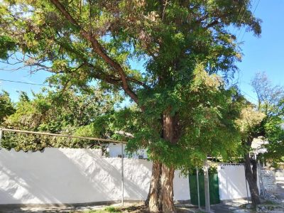� �������� ����� �� �� �������