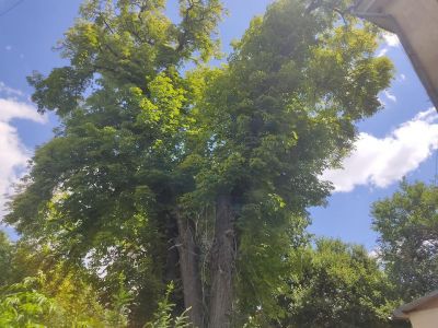 � ����������� ������� �������� ������� �������������� ������� 