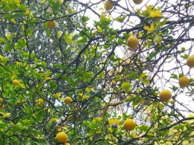  � ��������� ���� ������� ����� ������
