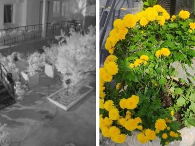 � ������� ������� ������, ������� ������� ������