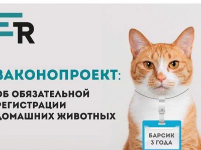 � ����� ���������� ������ ������������ ����������� ���� �������� ��������