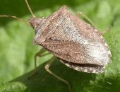 ������� ��������� ��������� ��������� ������ � ����� 