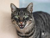  � ��������� ������� � ������ ����������� ������� �����, - ���������