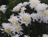  � ����������� ������� ������ ��������� ���������� 