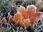 ����� � ����� ������������� ������ ���������