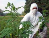 � ����� ������� ������ ��������� ����� 200 �������� 