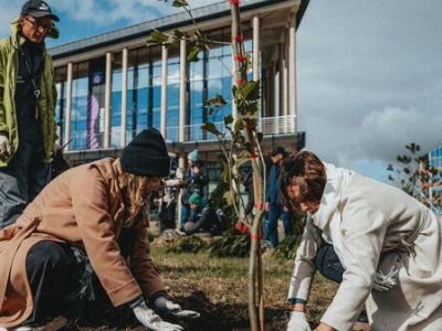 � ������ �������� ��������� � �����  ������� 3,5 ������ �������� 