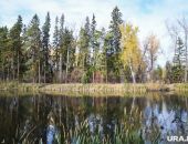 � ������ �������� ������� �� ����� �������� �������� �������