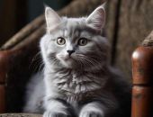 � ����� ��������� ���������� � �������� �������� ����� 