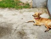 ��������� � ��������� ����� ������ ������ 200 �� �� ����������