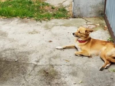 ��������� � ��������� ����� ������ ������ 200 �� �� ����������