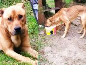 ����������� � ������ ���������� ������ ����� ��� �������