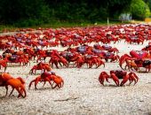 � ��������� ����� ��������� ���� ������  