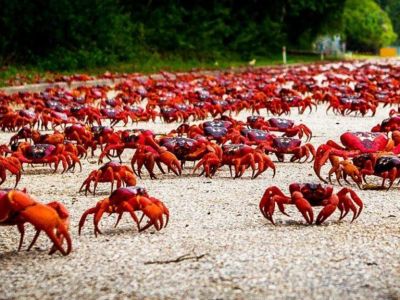� ��������� ����� ��������� ���� ������  