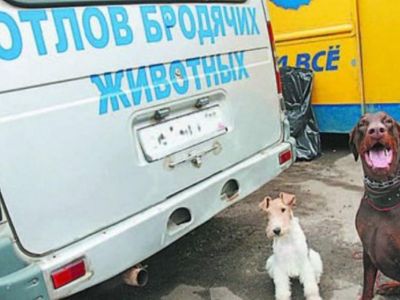 ����� 2 ��������� ������ �������� � ����� �� ����� ��������� ��������