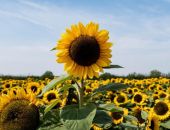 � ����� ������� � ��� ���� ������ �������������, ��� � 2024 ����