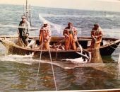 В Азовском море хотят разрешить вылов осетров В Азовском море хотят разрешить вылов осетров