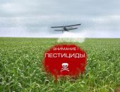 Агрофирму оштрафовали за нарушения при применении пестицидов  в Крыму  Агрофирму оштрафовали за нарушения при применении пестицидов  в Крыму