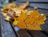 � ����� �������� � �����,  � ��������� ��� ��� �������� �� �����