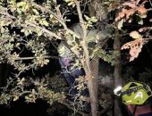 ����� ������ ������� ���������� �� ������ ��� ������������