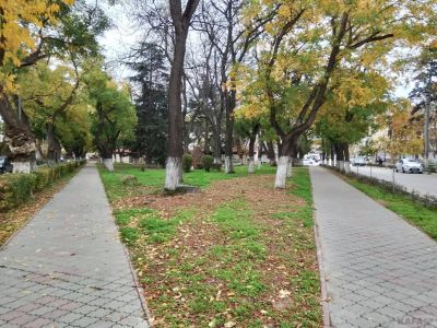 � ������ ������� � � ������������ ��������� ������� ���������� ������