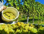 ������ ��������� � ���� ���� � ����� ����� �������� �� 30% 