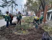 � �������� ������������ ������ �� ���������� ������