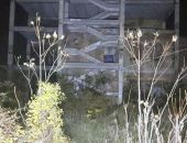 � ���� ��������� ����� � ���������� ����� ������������ ������