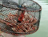 ���� ������� ����� �������� �� ������������� ����� ��������