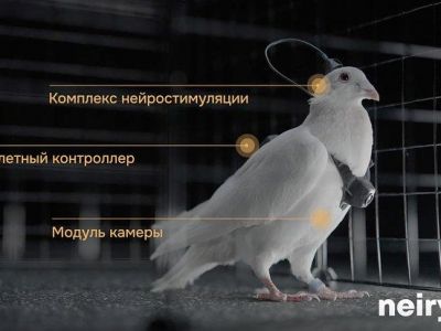� ������ ������� �������-���������