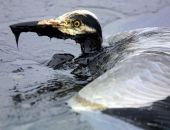 ��� ���������� ��� ������ 2025 ����?