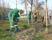 �  ������� �������� ������� ��������