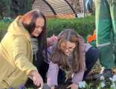 � ����������� �������� ������ �� ������� �����