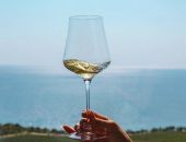 �������� ������� ������ ����� ���� �����