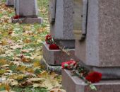 ������������ ������