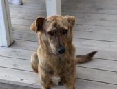  � ����� � ���� ���� ������������� 74 ������ ����� 