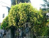 � ������� ������ ����� ������ ���� �����