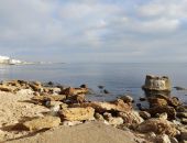 ��� � ����, �� ��� �����