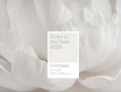 �������� ����� Pantone ������ ���� 2026 ����