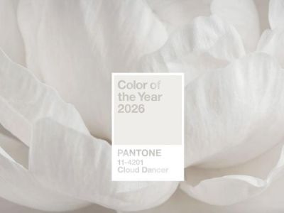 �������� ����� Pantone ������ ���� 2026 ����
