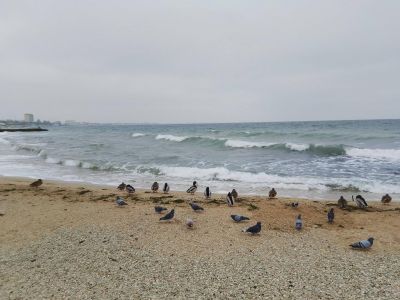 � �������� ��������� ��������������