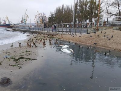 � �������� ��������� ��������������
