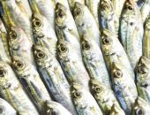  "������ ����": � ����������� ������� 18 ���� ���� �� �����