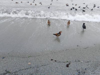 � �������� � �������� ���������� ������ �����