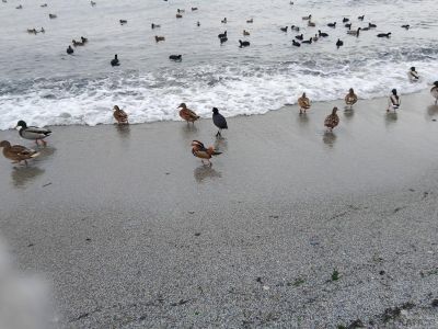 � �������� � �������� ���������� ������ �����