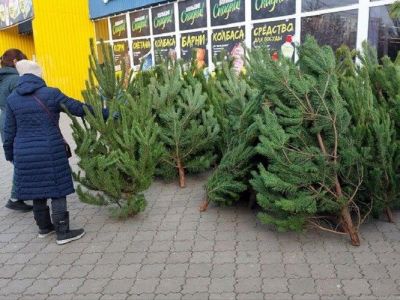 � ����������� �������� ������� ���������� �����, ��� ������ �� 30%, ��� � ������� ����