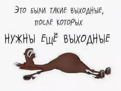 ����� ������ ��������: 6-������� ������� ���� � 4-������� ������